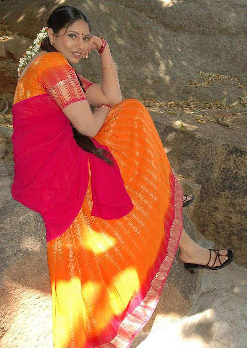 tollywood sanghavi half saree glamour  images